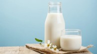 Молдова стала главным рынком для украинской молочной продукции