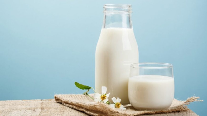 Молдова стала главным рынком для украинской молочной продукции