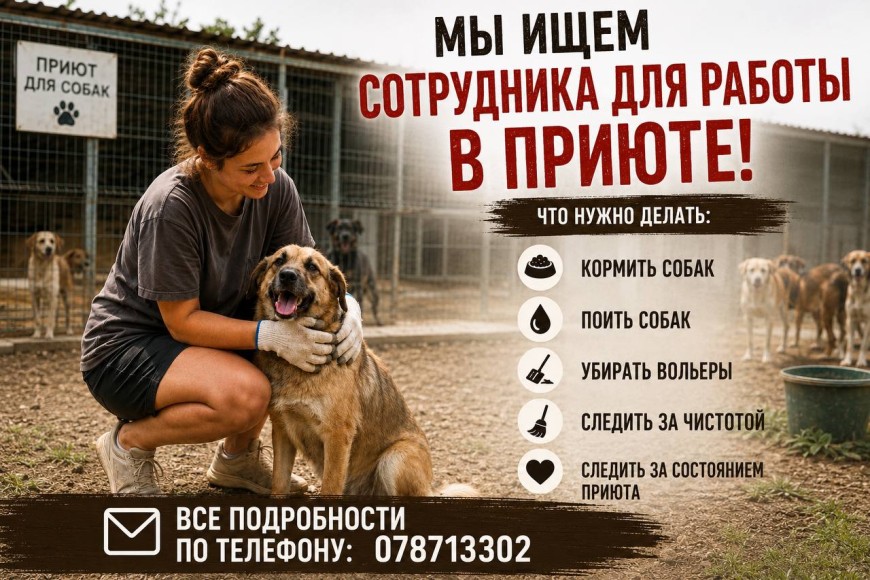 Ищем сотрудника в приют для собак (г.Комрат)!