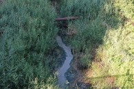 Начало осени не принесет улучшения: маловодье в Гагаузии сохранится