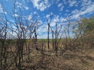 "Мощный взрыв" не оставил следов? Появились фото с места обнаружения "обломков" в Крокмазе