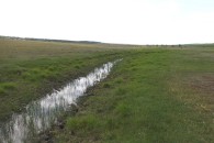 Лучше не становится: в реках Гагаузии сохраняется низкий уровень воды