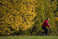 Теплее и уже без дождя. Синоптики о погоде в Гагаузии