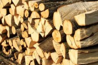 Дрова в Молдове: в Комрате - самая высокая цена на мягкую древесину