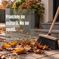 Ради экономии воды. В правительстве предлагают молдаванам ездить на грязных машинах и "не мыть листья"