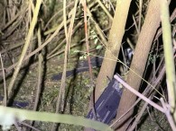 Реактивный дрон-ракета упал вблизи трассы в Оргеевском районе: трассу ночью перекрыли