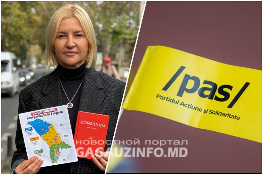 "Конституция им больше не указ": Ирина Влах о новой схеме PAS