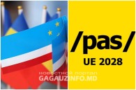 Волох: у PAS "не было времени организовать команды" в Гагаузии