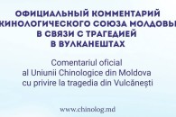 В Молдове ужесточат ответственность за содержание собак. Кинологический союз о трагедии в Вулканештах