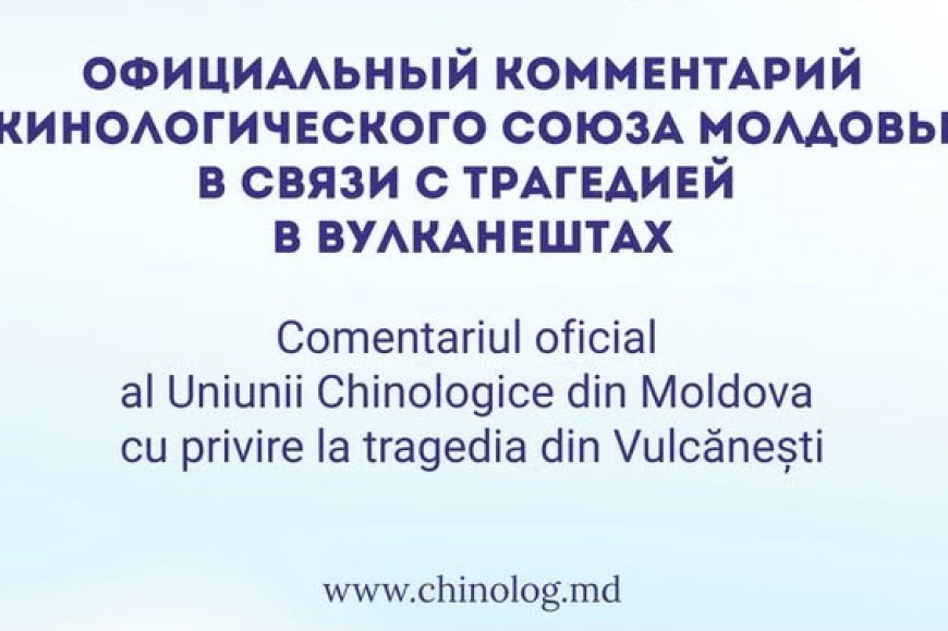 В Молдове ужесточат ответственность за содержание собак. Кинологический союз о трагедии в Вулканештах