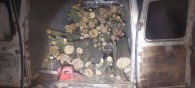 "Черных лесорубов" задержали в Тараклийском районе