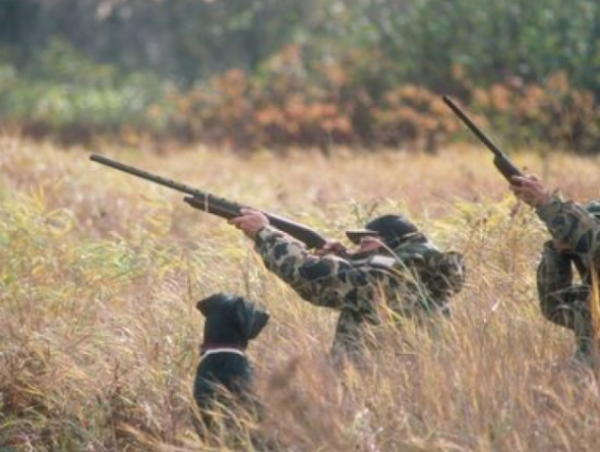 Введен запрет на охоту в заповедниках Молдовы