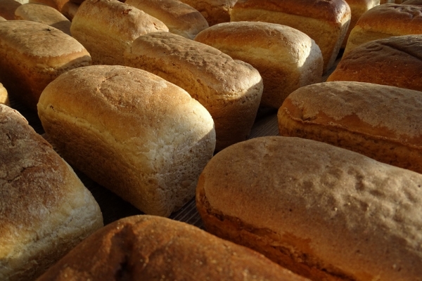 В Чадыр-Лунге социальный хлеб получат 600 жителей