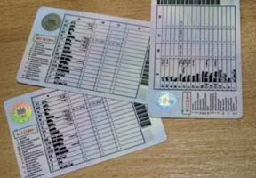 Кишинев готов выдавать жителям Приднестровья национальные водительские права