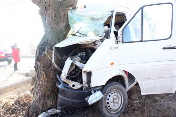 Жуткое ДТП в Фалештах: водитель на полном ходу врезался в дерево