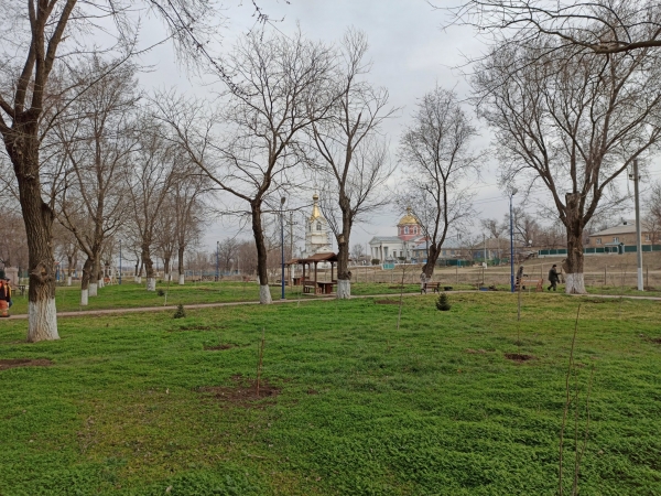 Липы, березы, каштаны. В Казаклии проводят озеленение в парке и центре села