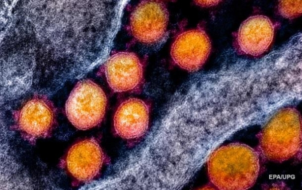 Ученые заявили о мутации китайского коронавируса