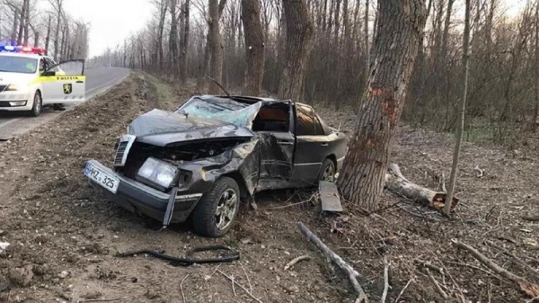 ДТП на трассе: водитель не справился с управлением и влетел в дерево