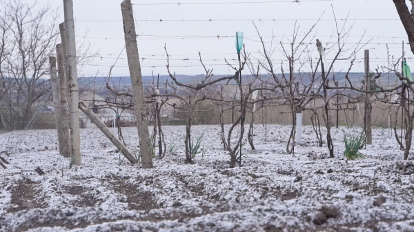 Непогода в последний день марта: в Гагаузии местами выпал снег