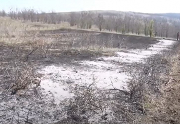 Поджог травы в Комрате: пламя едва не уничтожило молодые леса
