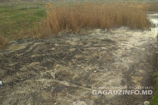 «Это была страшная картина». Анастасов о сливавшейся в Ялпуг «желтой жиже»