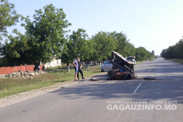 ДТП на выезде из Конгаза: автомобиль столкнулся с повозкой