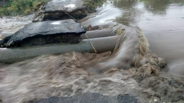 В Бричанском районе погиб пастух, унесенный потоком воды