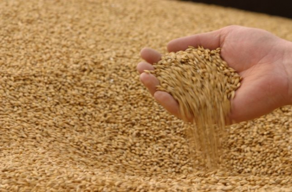 «Людям необходимо помочь преодолеть засуху»: Чебан о передаче резервного зерна примэриям