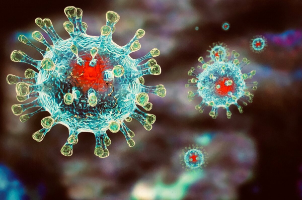 В Гагаузии за сутки выявлено 22 случая заболевания коронавирусом