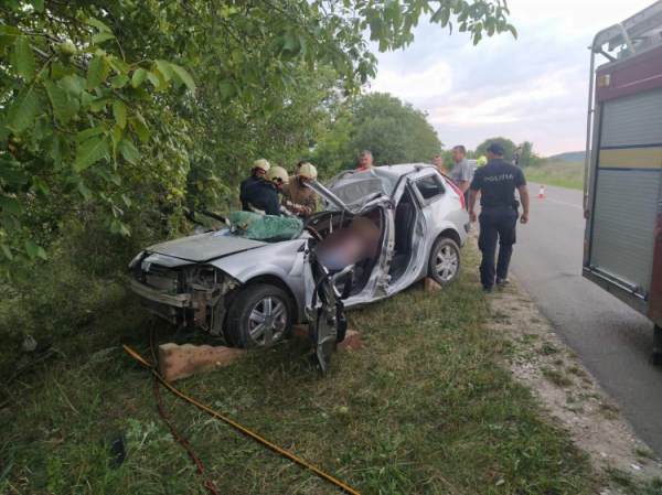 ДТП в центре Молдовы: водитель и пассажир скончались на месте