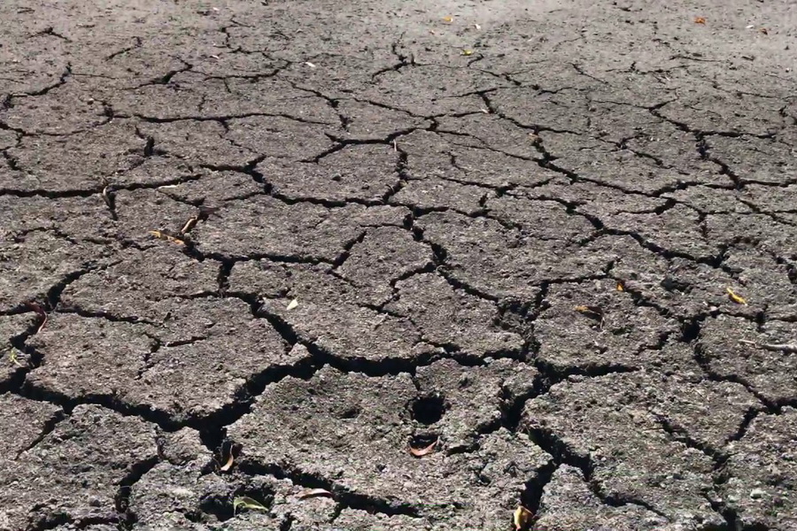 «Ни капли воды не осталось». В Светлом полностью высохло одно из озер