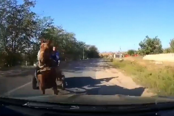 Момент ДТП с участием повозки с лошадью и легкового авто попал на видео