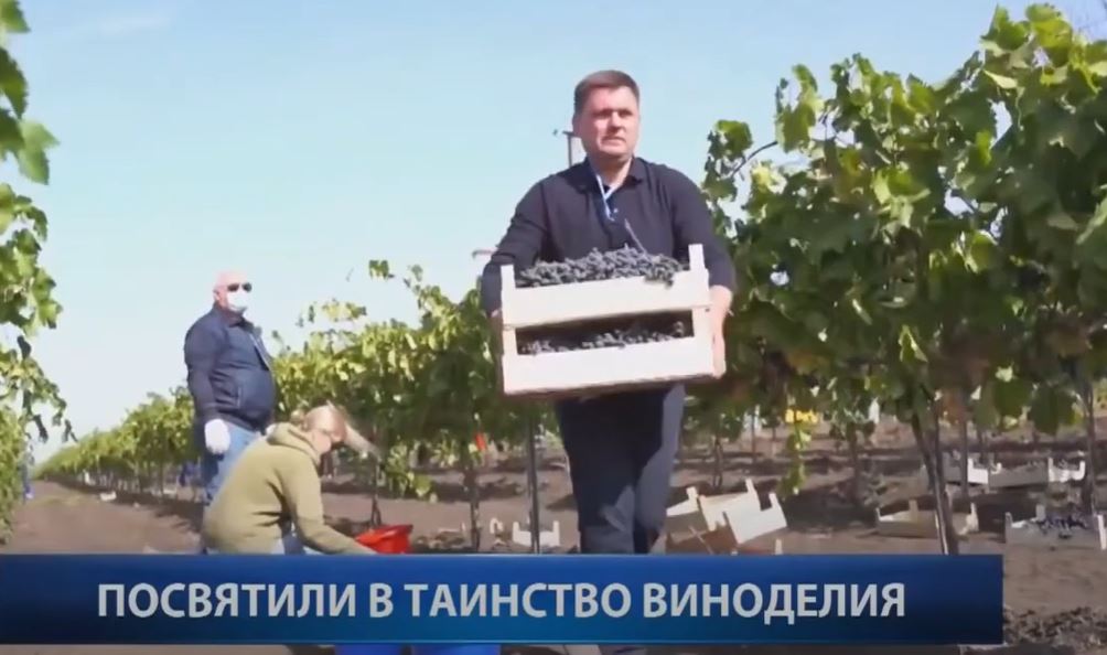 Репортаж: Иностранных дипломатов в Гагаузии посвятили в таинство виноделия