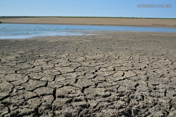 Шокирующие последствия засухи: в озерах Авдармы уровень воды снизился до 50 сантиметров