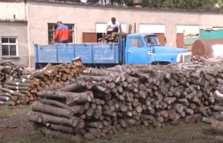Как приобрести дрова по льготной цене? Комментарий Лесного хозяйства Комрат