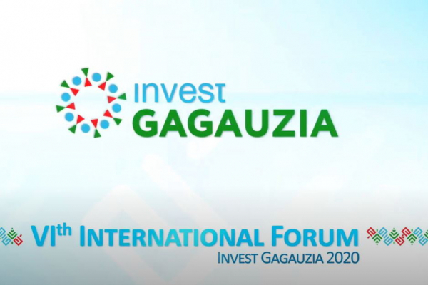 LIVE: Башкан о предстоящем форуме Invest Gagauzia