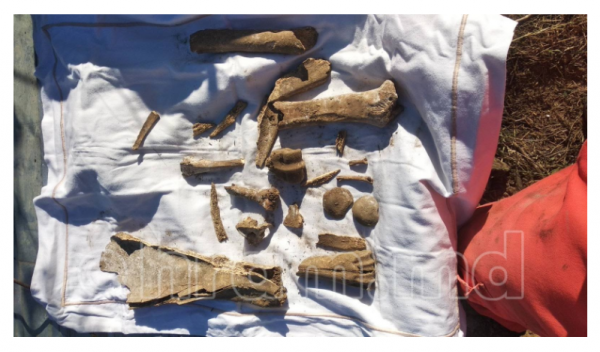 «Возможно, останки человека». Во время строительства в храме Чишмикиой обнаружили кости