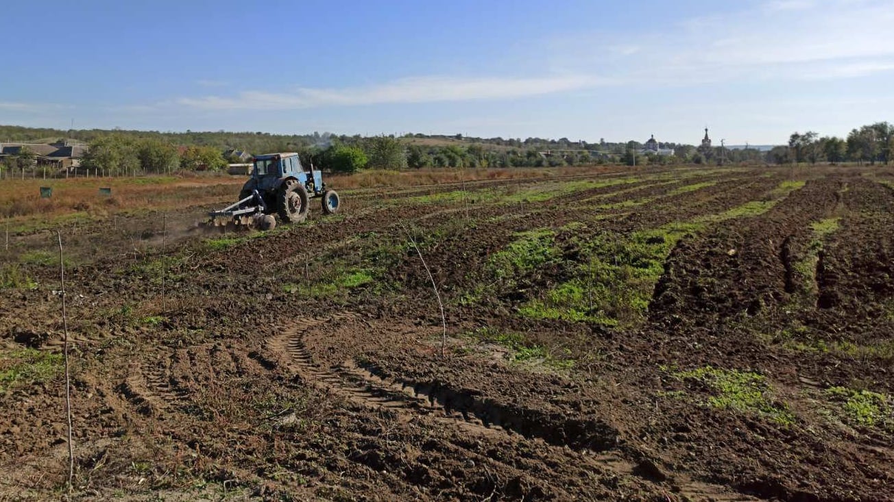 Саженцы дуба и клена посадили на пустыре на окраине Казаклии