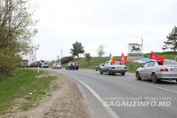 Выборы президента: сразу три автопробега в поддержку Игоря Додона прошли в Гагаузии