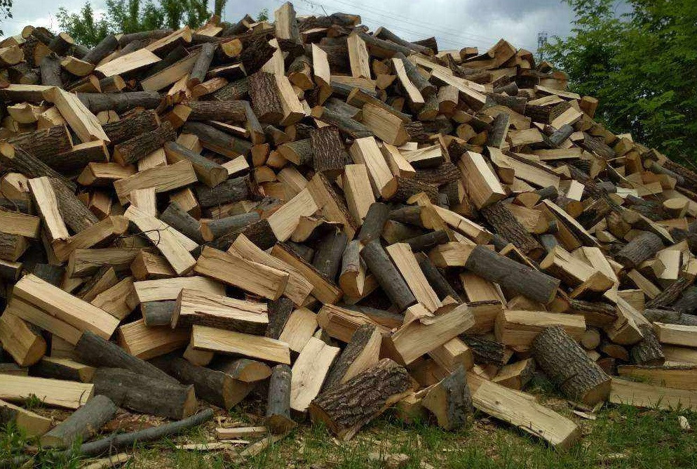 Реализация дров в Гагаузии. Почему Лесное хозяйство несет убытки?