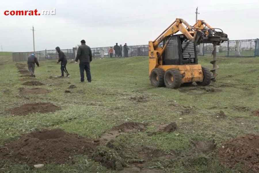 Территорию еврейского кладбища озеленили в Комрате