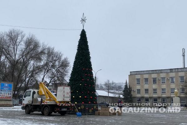 В Чадыр-Лунге наряжают новогоднюю ель: когда включат иллюминацию?