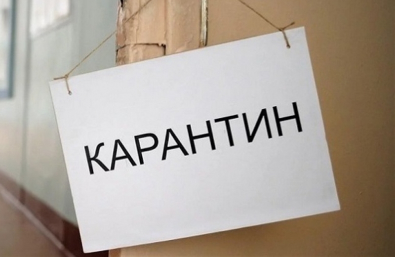 «Бизнес выстоял». В управлении экономики Гагаузии рассказали о «беспрецедентно сложном» годе
