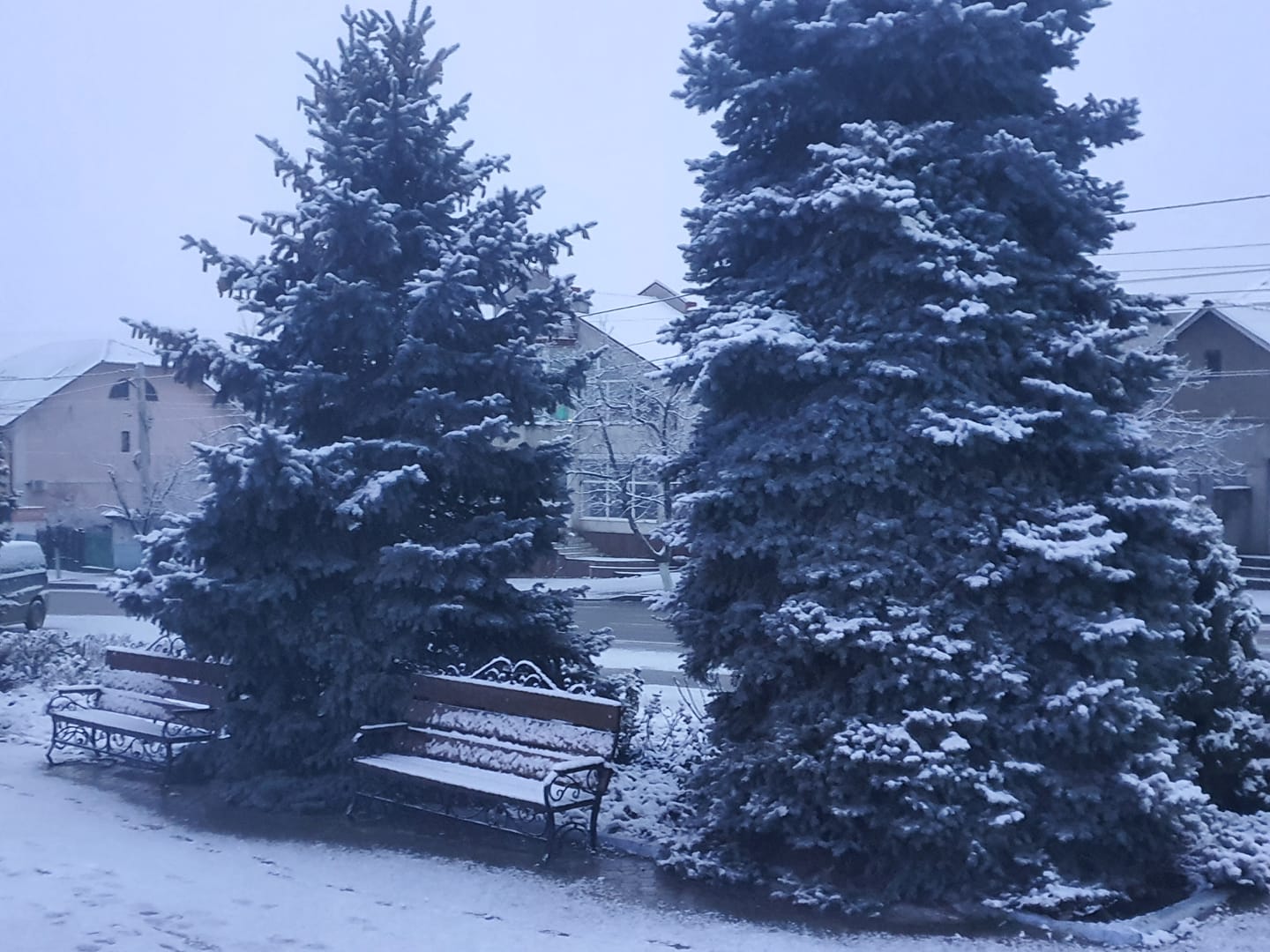 Похолодание и снег: синоптики рассказали о погоде в Гагаузии