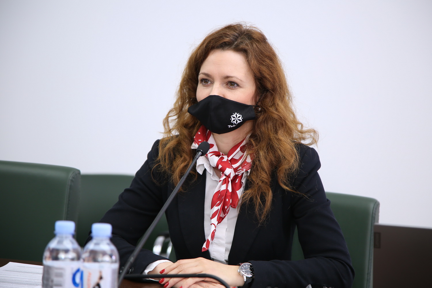 Почему Гагаузия? Анна Кирица о преимуществах региона в области информационных технологий