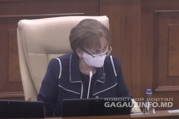 Включат ли ЦИК Гагаузии в Кодекс о выборах? Закон отправили в рабочую группу парламента и НСГ