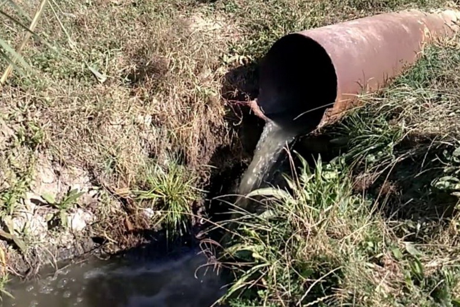 «Воду очистить уже невозможно»: в Одесском областном совете критикуют состояние Ялпуга