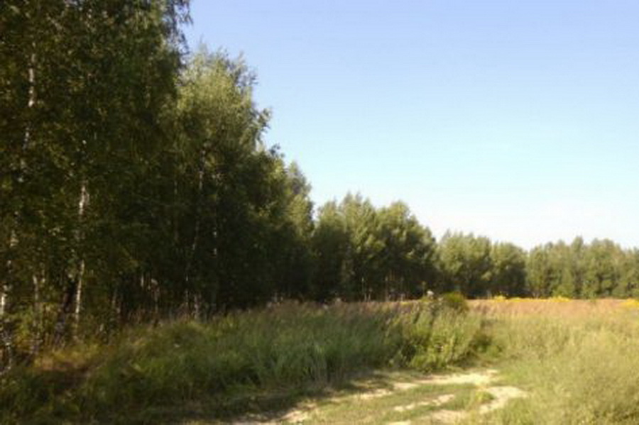 Почему не растет Лесной фонд Гагаузии? Ответил Алексей Куликов