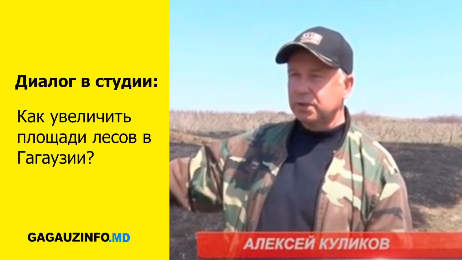 LIVE: Как увеличить площади лесов в Гагаузии?