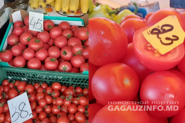 Помидоры на рынках Комрата и Болграда. Насколько украинские дешевле молдавских?
